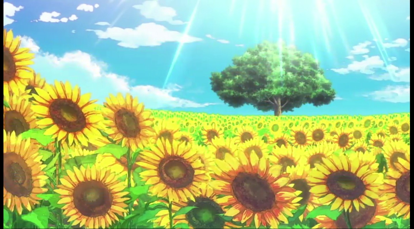 海贼王萨博篇：三兄弟的羁绊 奇迹的再会和被继承的意志剧照的剧照