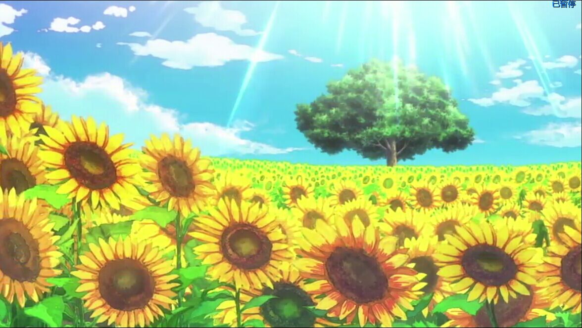 海贼王萨博篇：三兄弟的羁绊 奇迹的再会和被继承的意志剧照的剧照