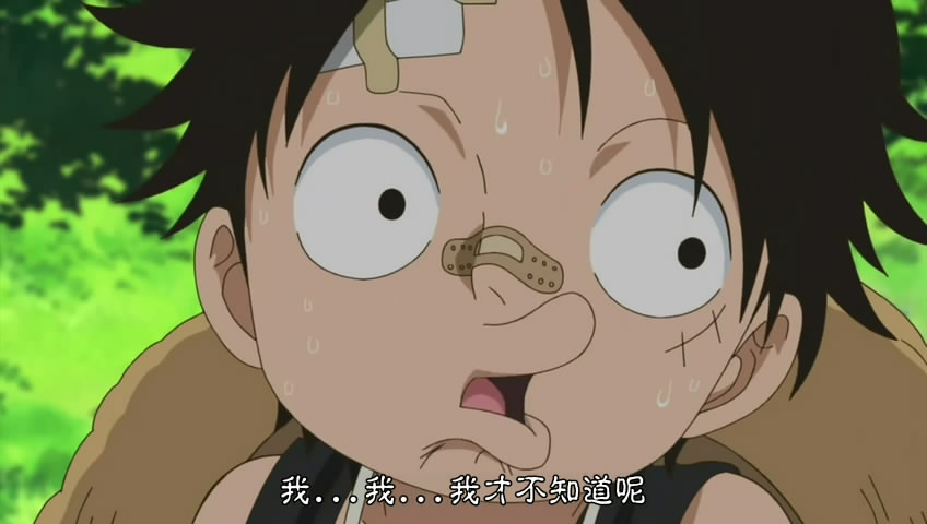 海贼王萨博篇：三兄弟的羁绊 奇迹的再会和被继承的意志剧照的剧照