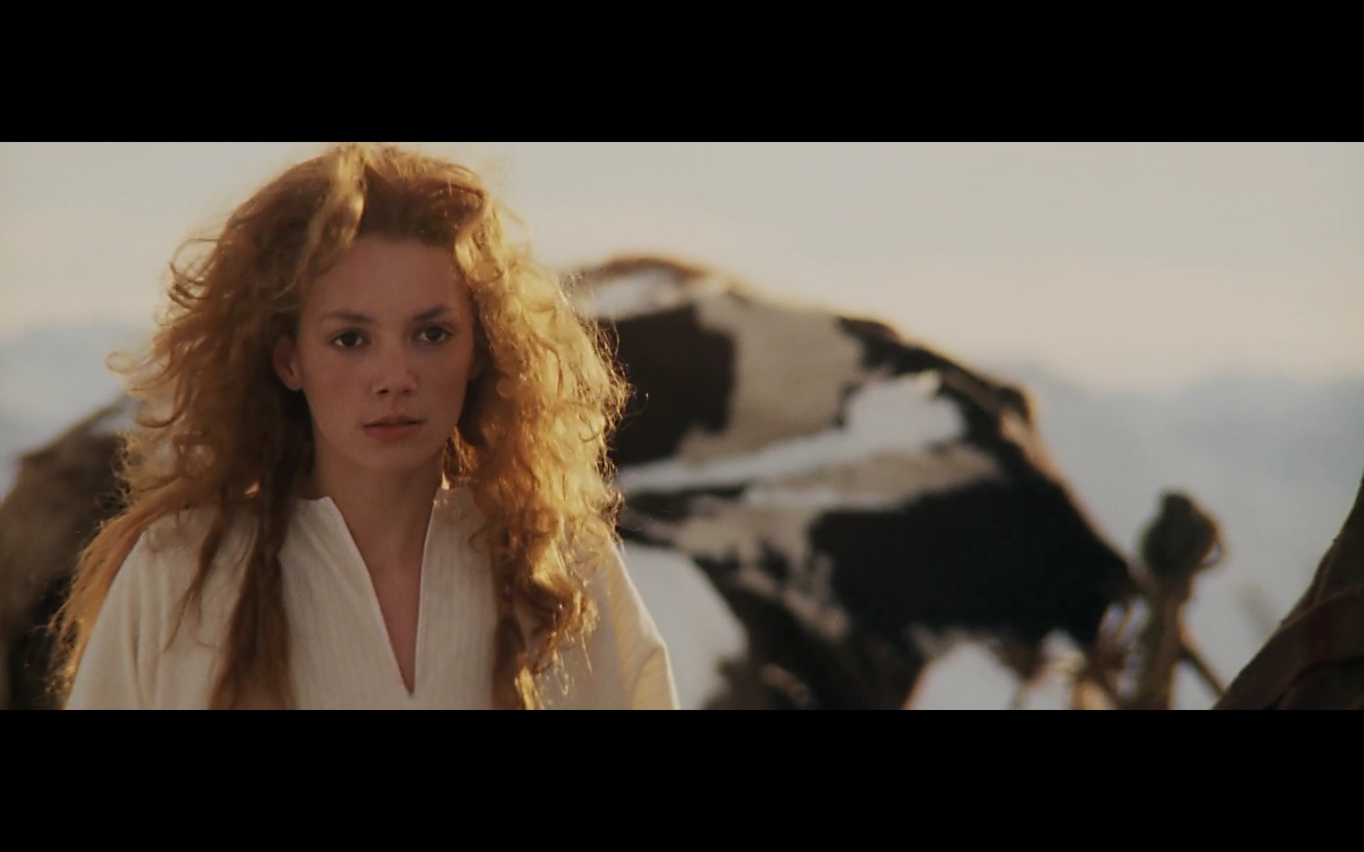 风云际会剧照的剧照