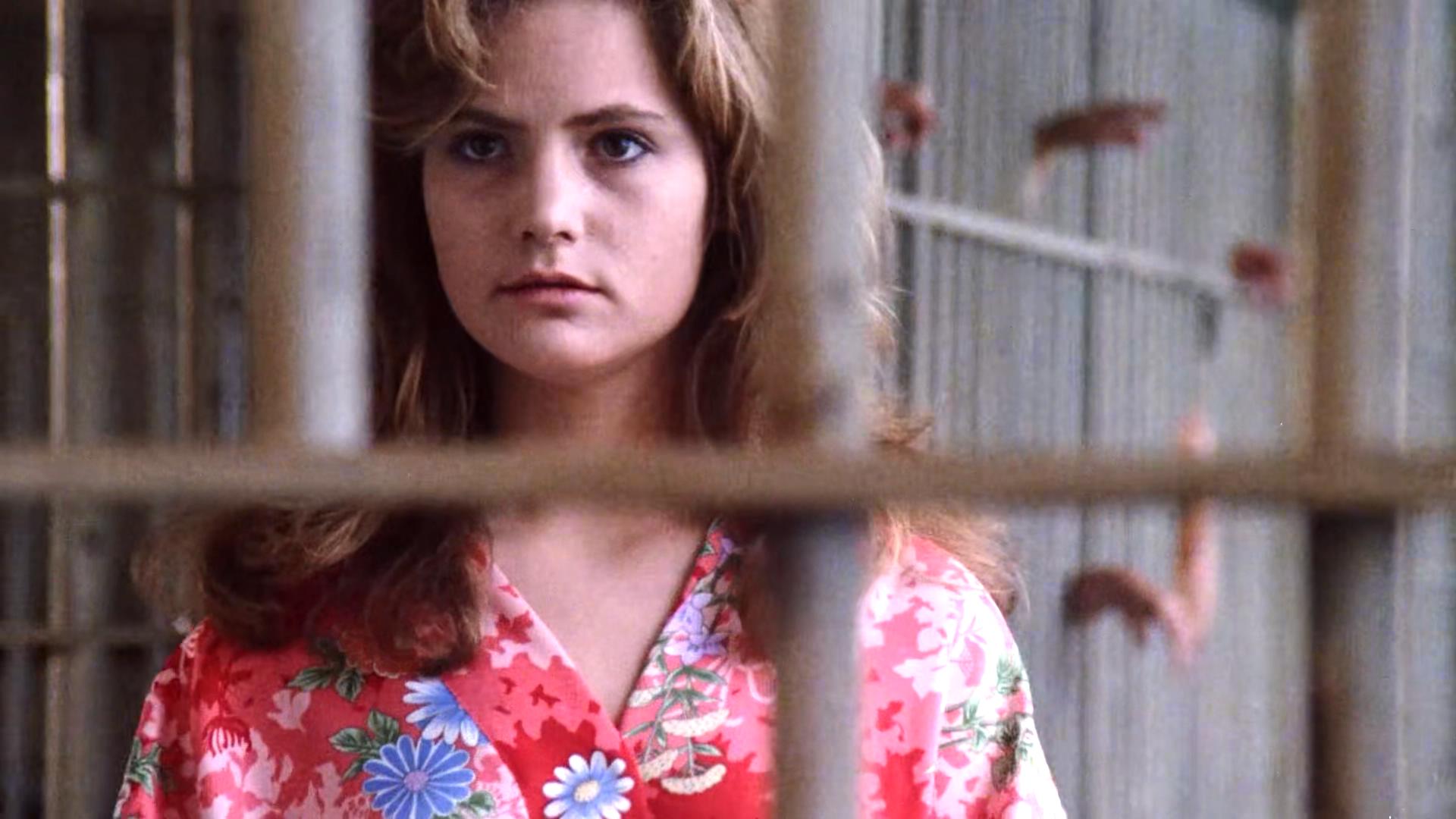 白兰花的姑娘们剧照的剧照