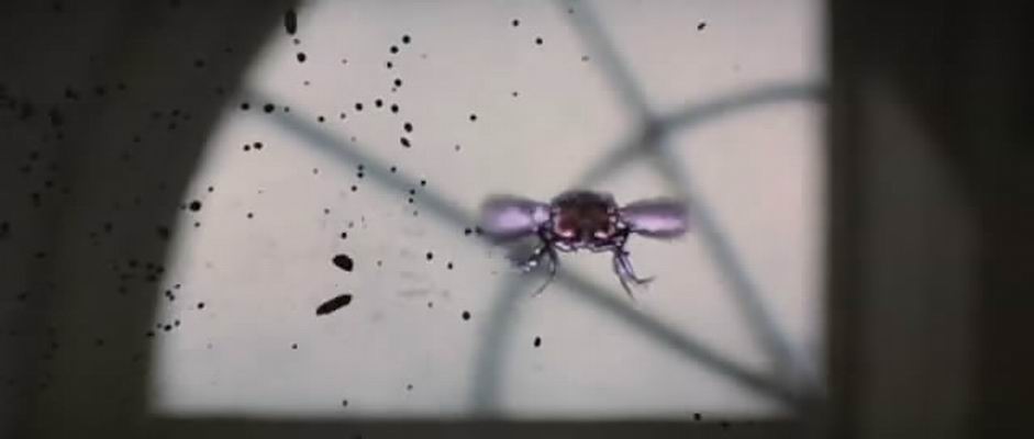 鬼哭神嚎3剧照的剧照