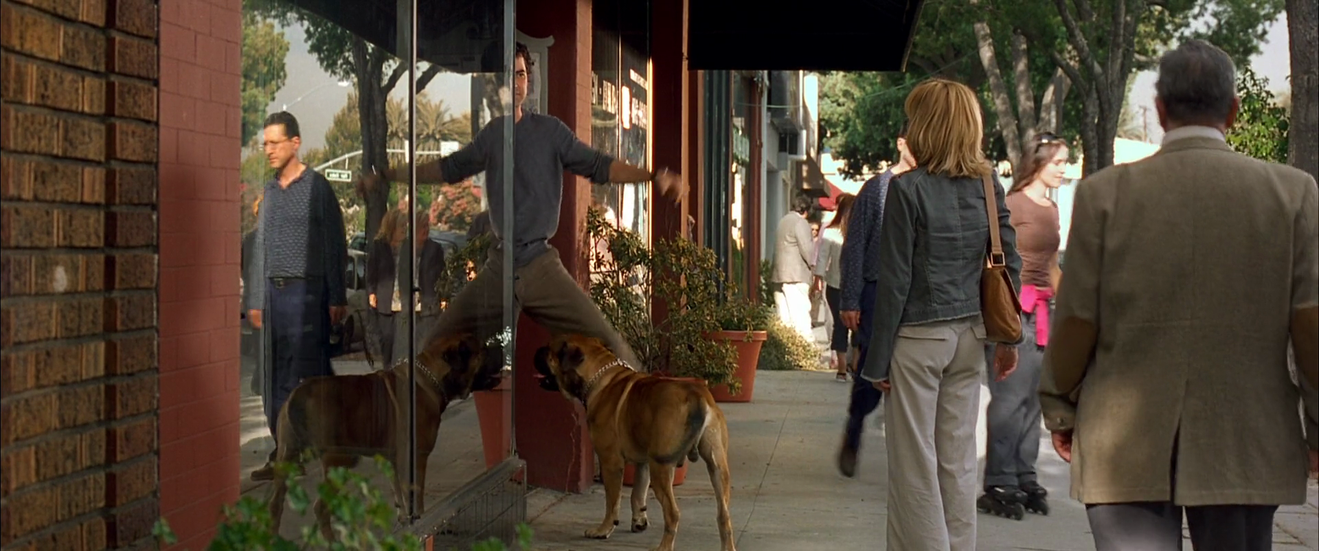 爱情黑名单剧照的剧照