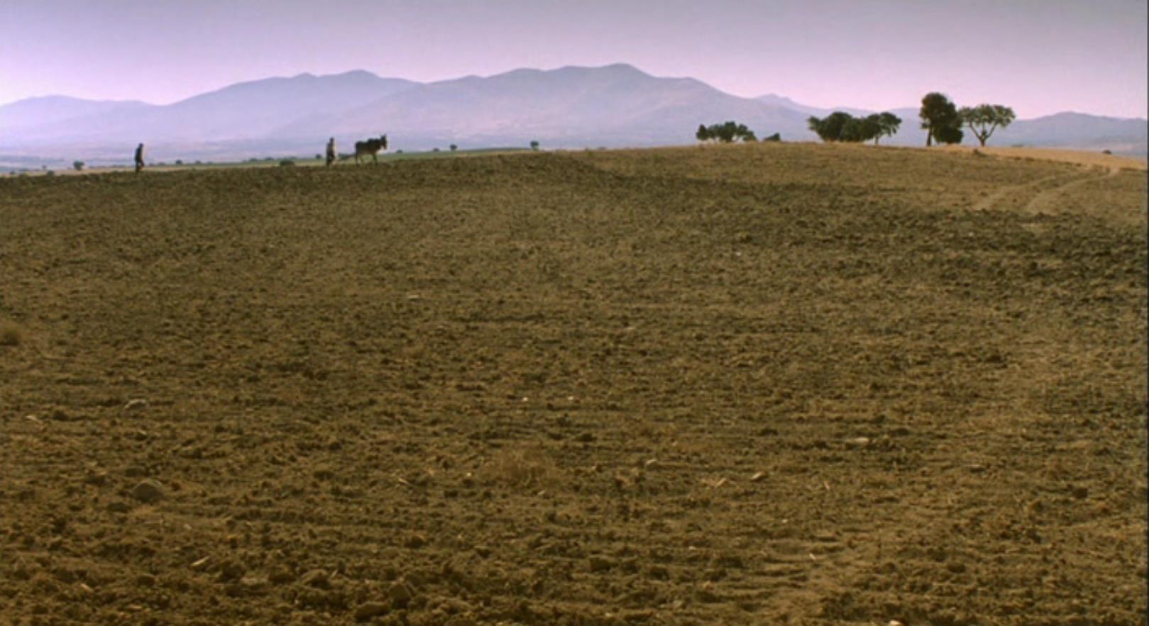 第七天剧照的剧照