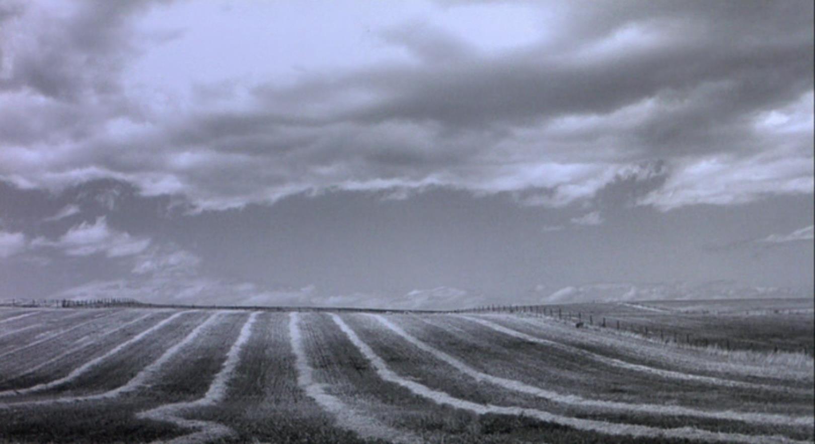 第七天剧照的剧照