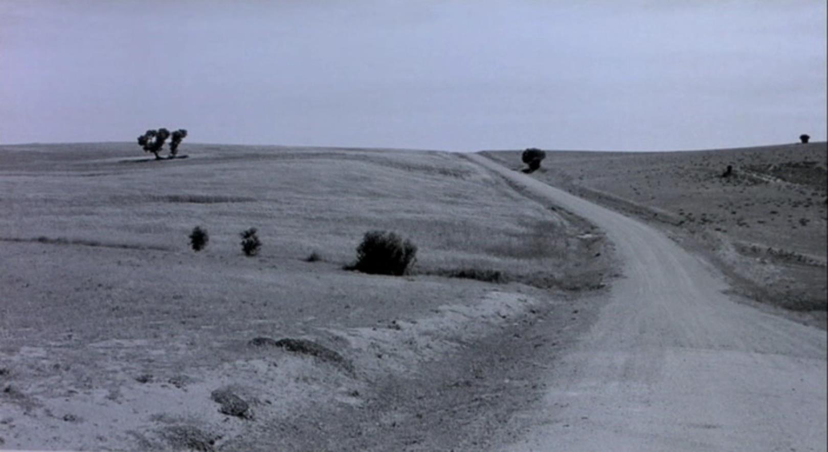 第七天剧照的剧照