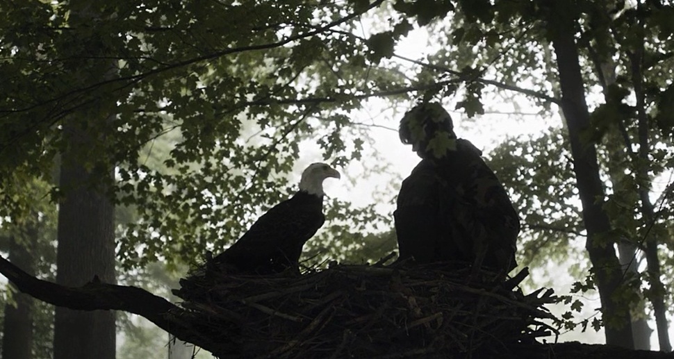 日与夜剧照的剧照