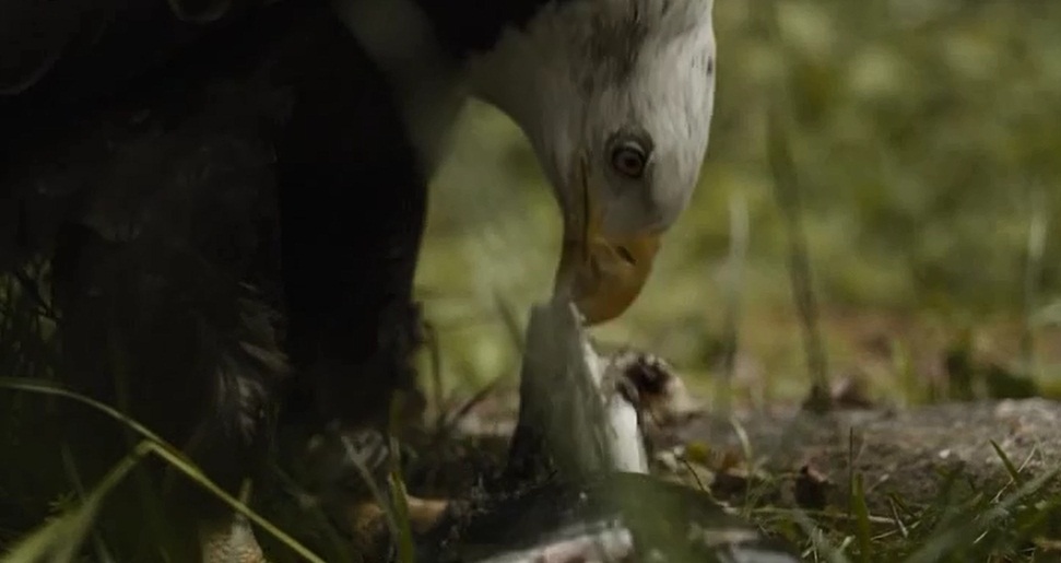 日与夜剧照的剧照