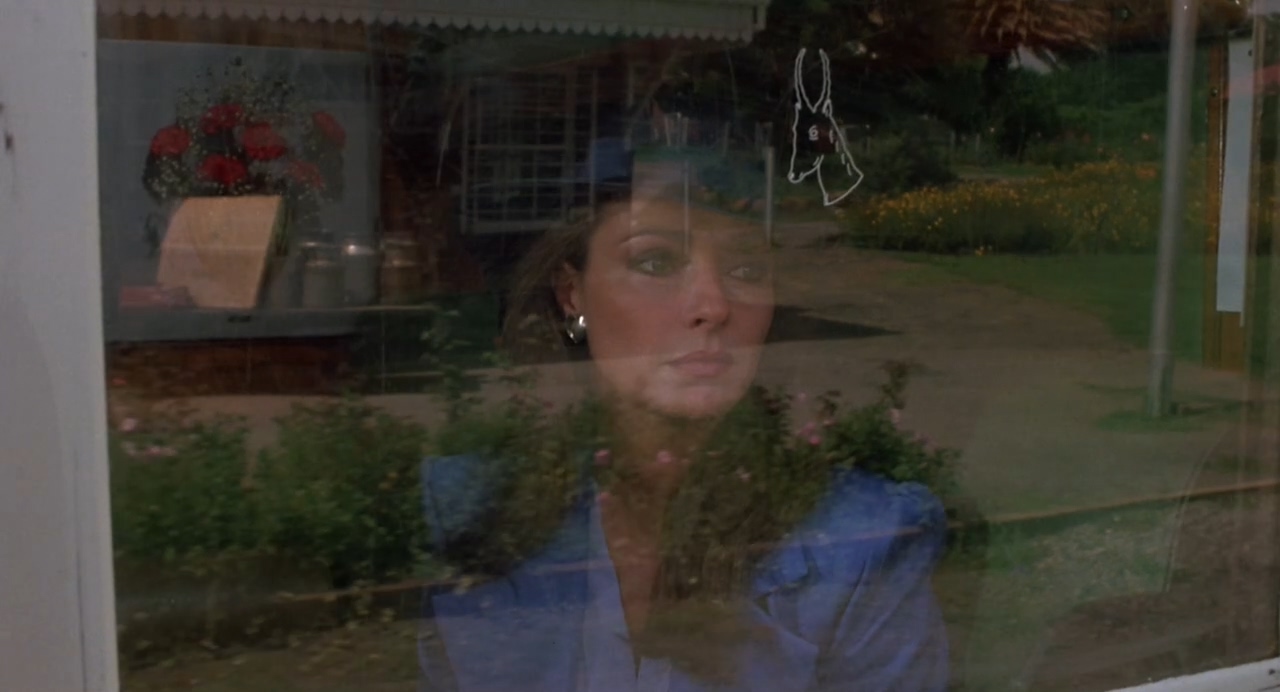 穿越杜鹃窝剧照的剧照