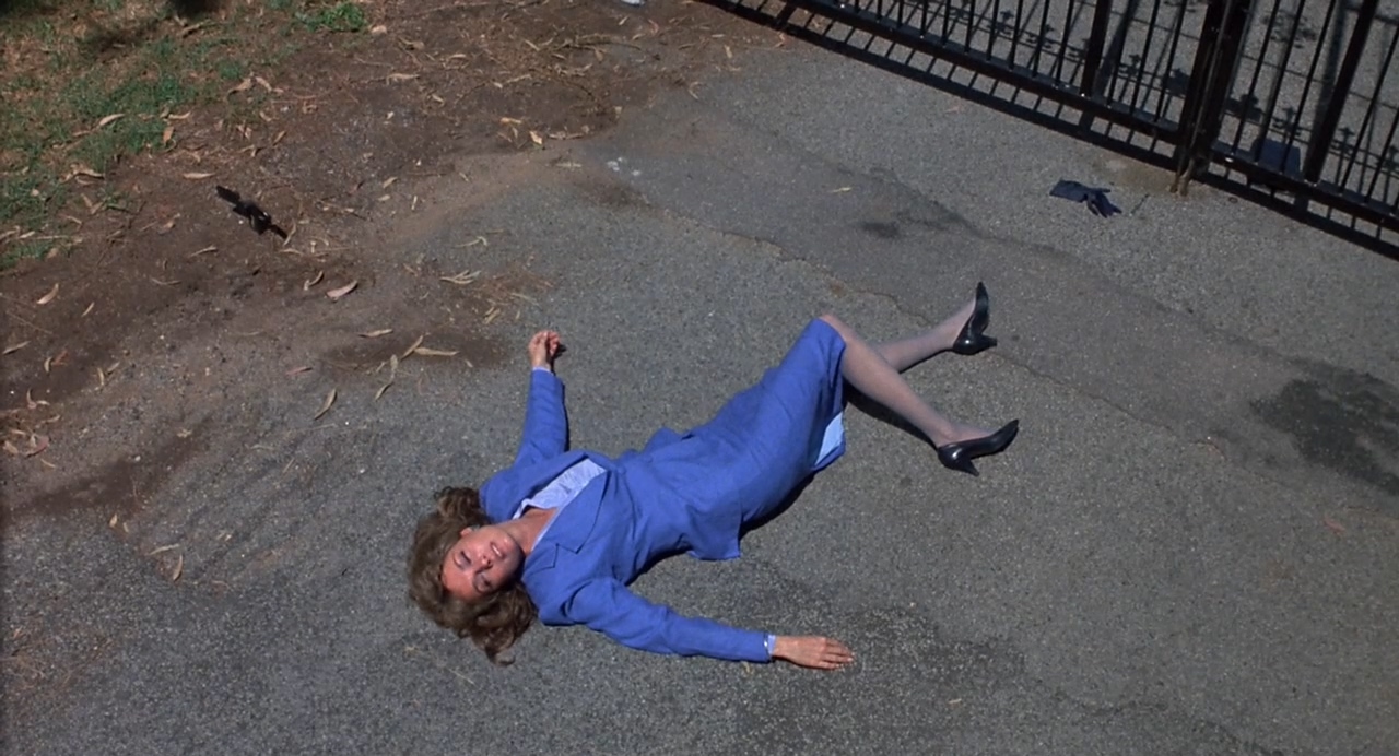 穿越杜鹃窝剧照的剧照