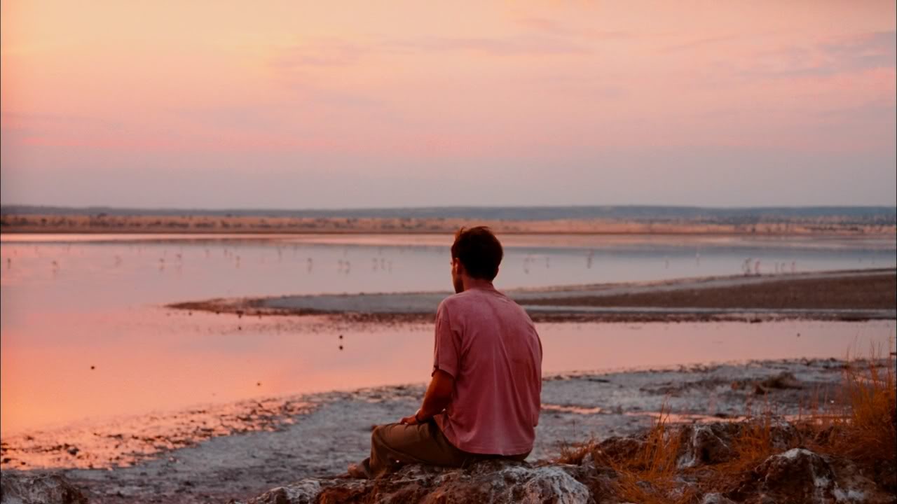 不朽的园丁剧照的剧照