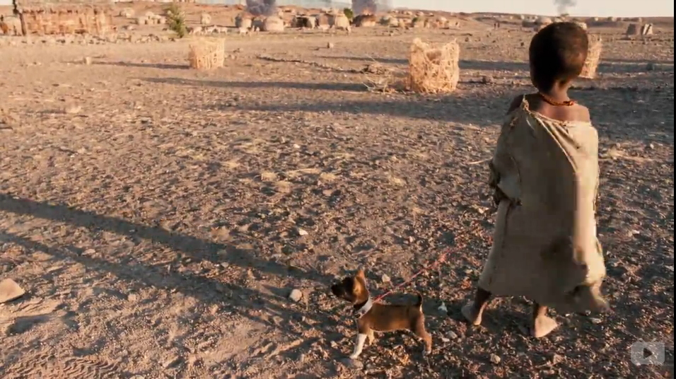 不朽的园丁剧照的剧照