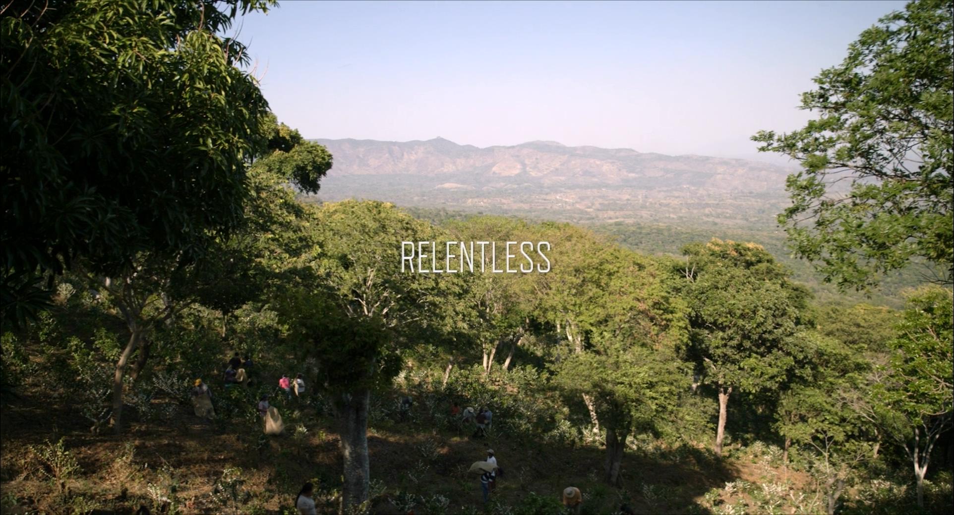 勇者无畏剧照的剧照