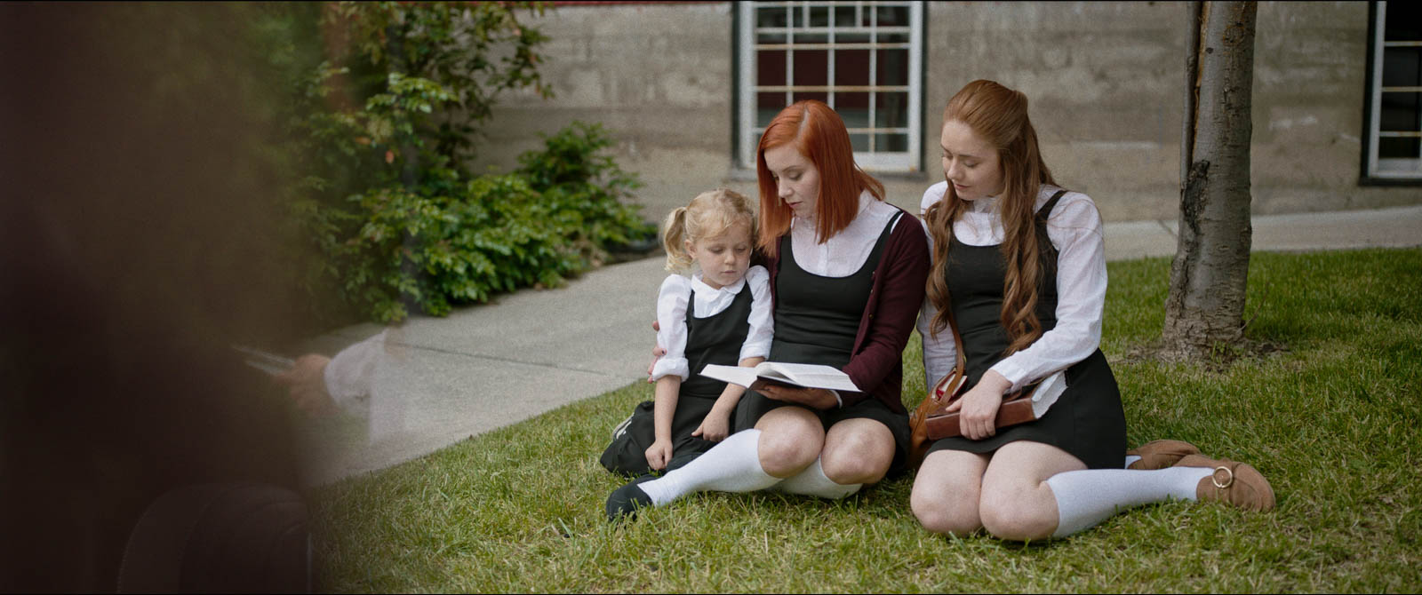 玫瑰色剧照的剧照