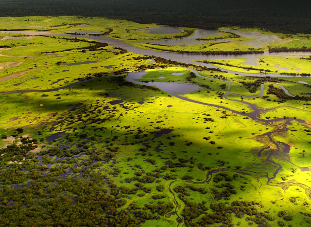 亚马逊萌猴奇遇记剧照的剧照