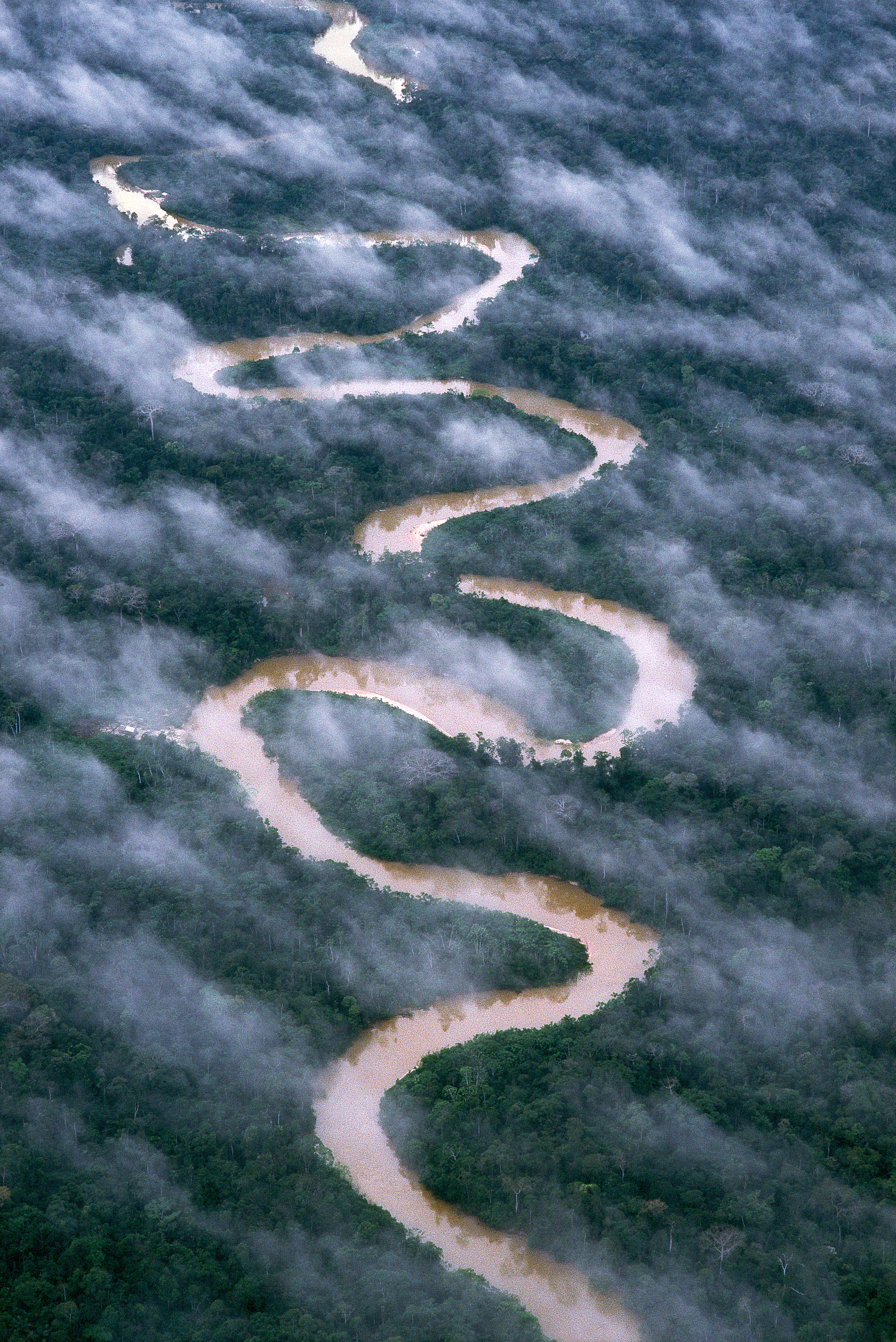 亚马逊萌猴奇遇记剧照的剧照
