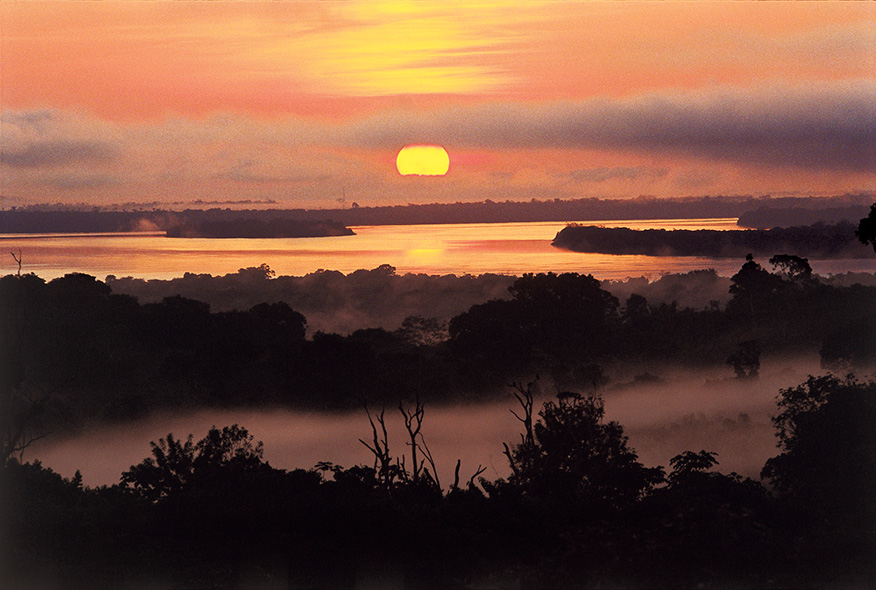 亚马逊萌猴奇遇记剧照的剧照