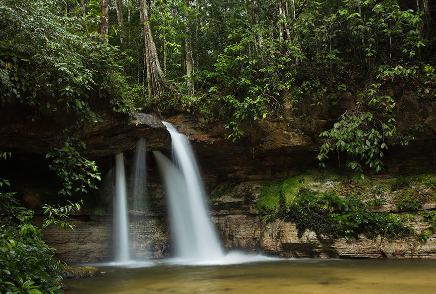 亚马逊萌猴奇遇记剧照的剧照