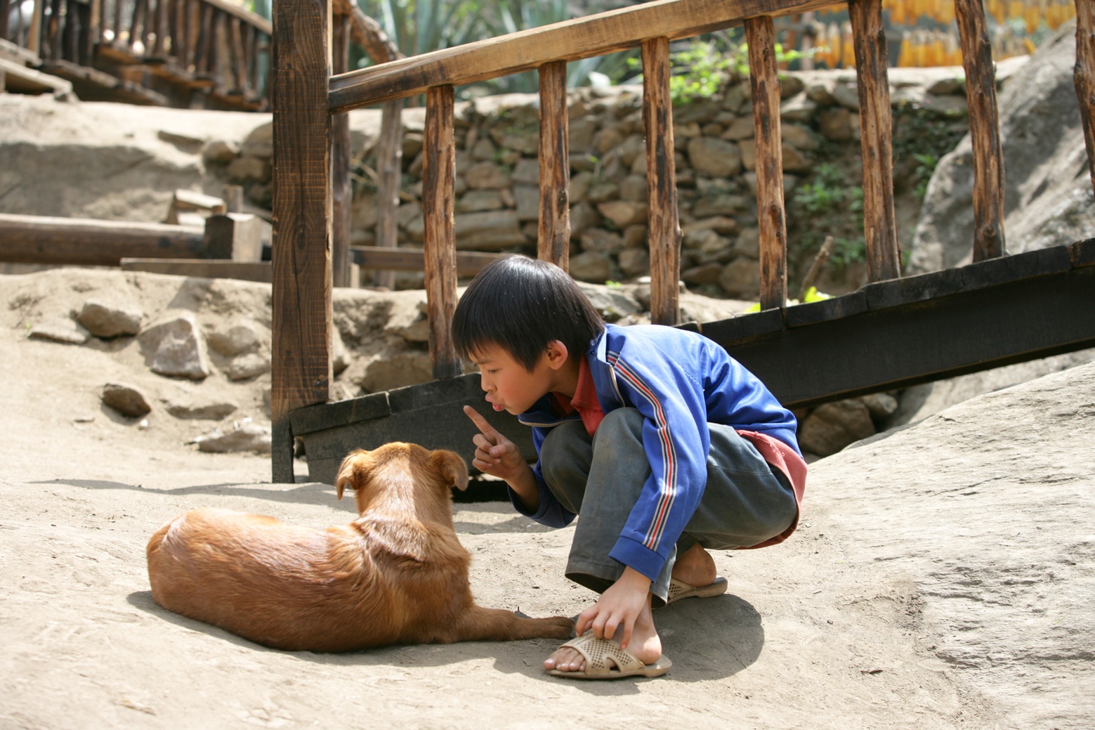 走路上学剧照的剧照