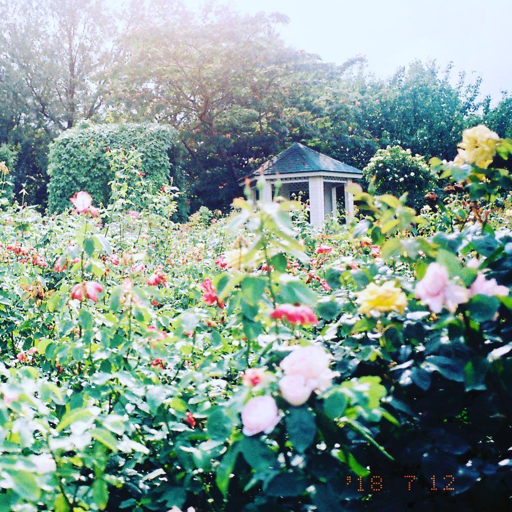 21世纪女子剧照的剧照