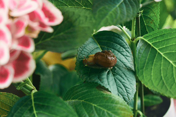 21世纪女子剧照的剧照