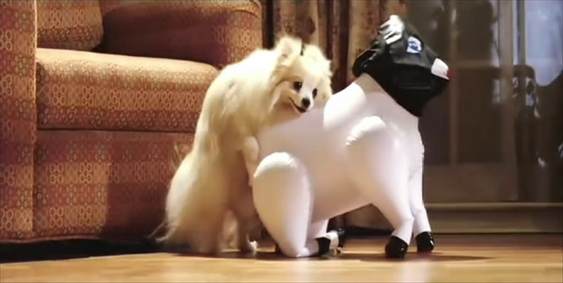 美国派3：美国婚礼剧照的剧照