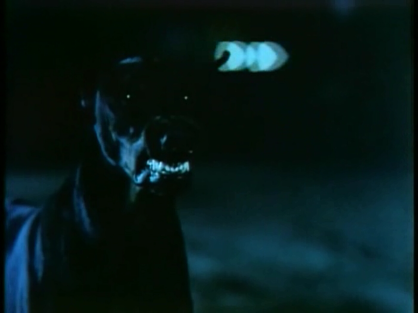 春宵金粉梦剧照的剧照