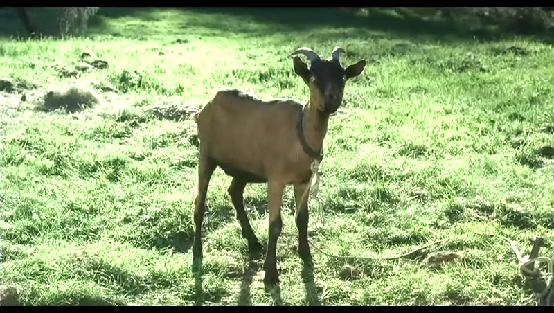 明眸失神剧照的剧照