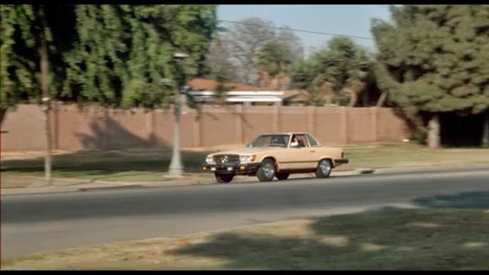 贵客光临剧照的剧照