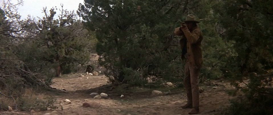 月落大地剧照的剧照