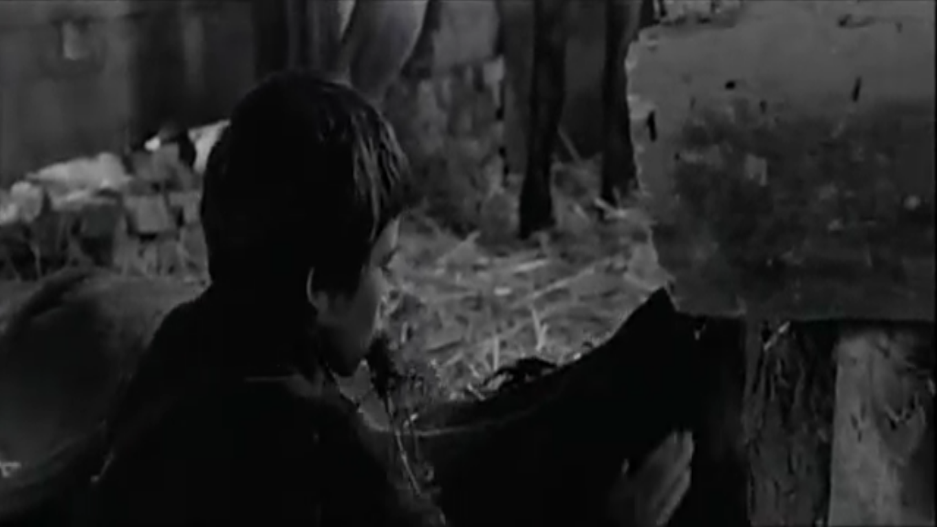 我和你剧照的剧照