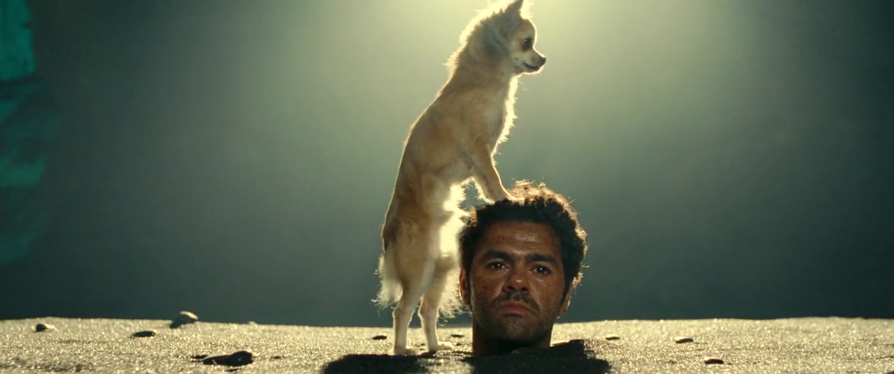 追踪长尾豹马修剧照的剧照