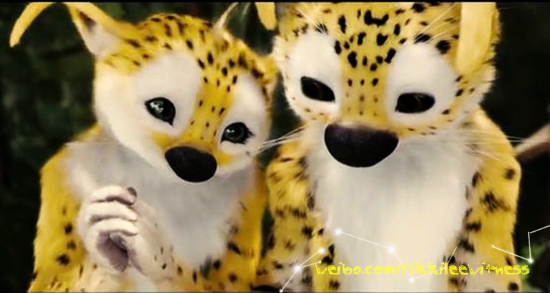 追踪长尾豹马修剧照的剧照