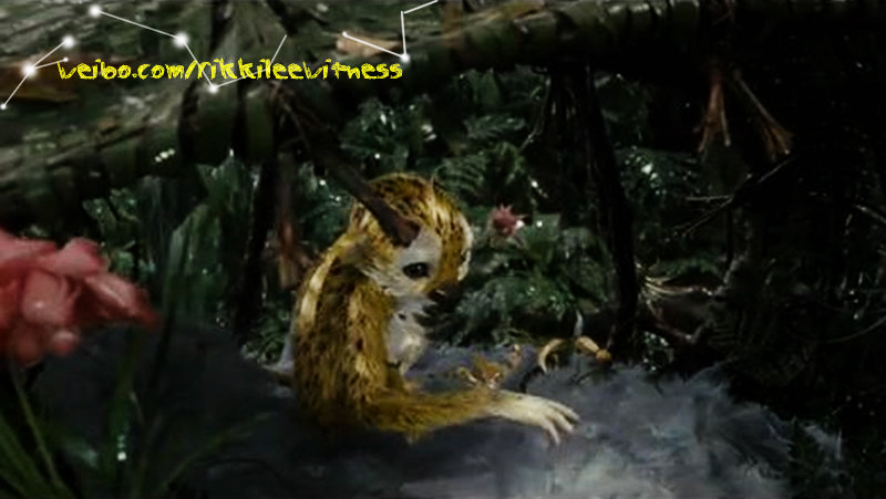 追踪长尾豹马修剧照的剧照