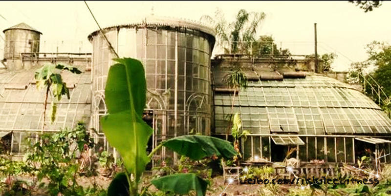 追踪长尾豹马修剧照的剧照