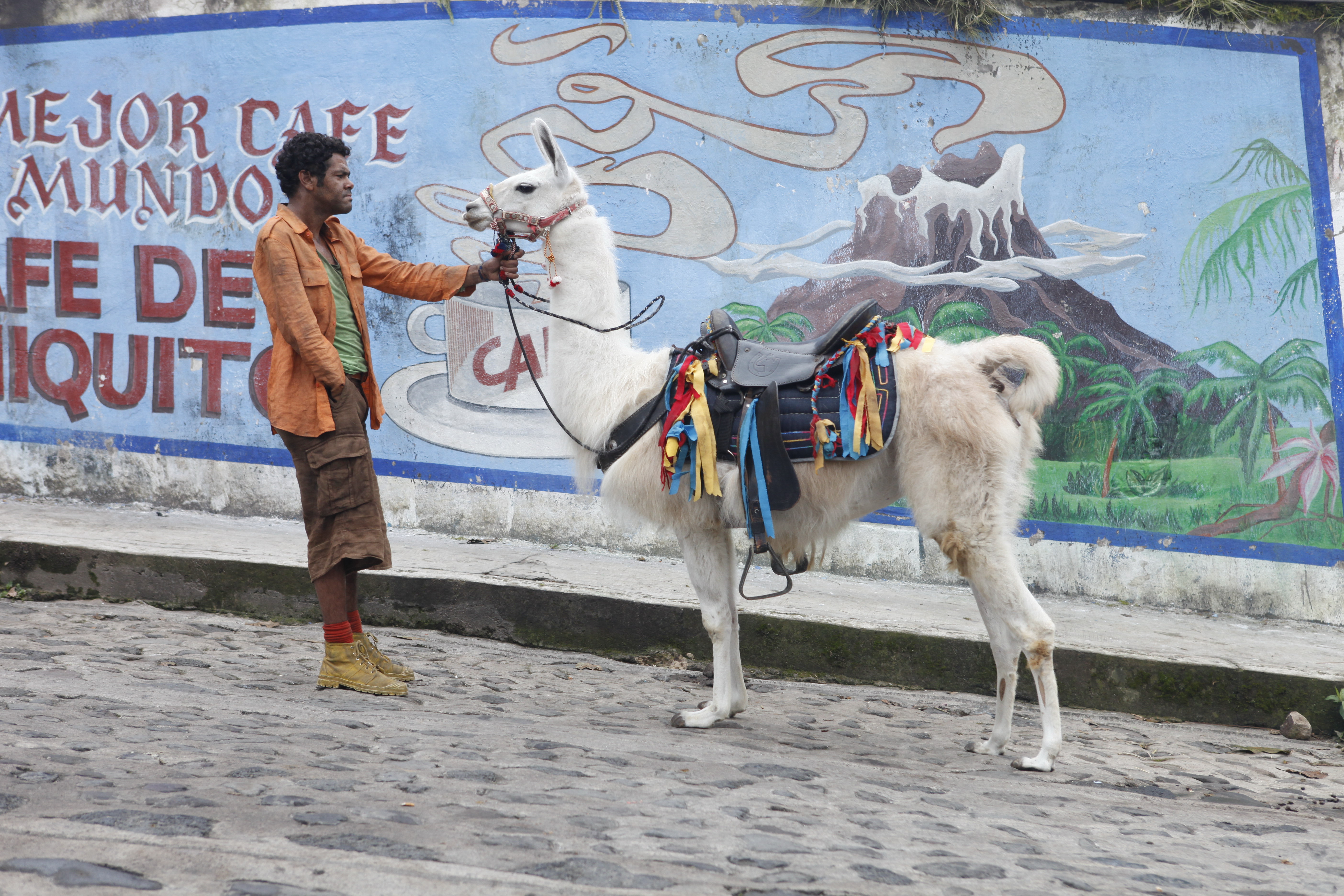 追踪长尾豹马修剧照的剧照