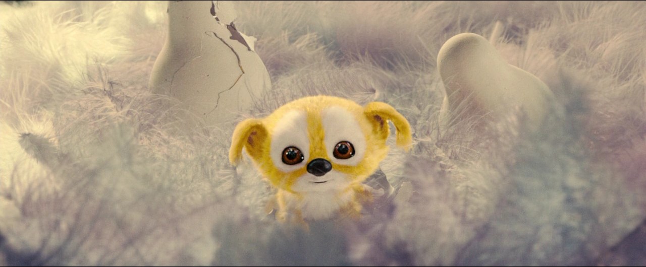 追踪长尾豹马修剧照的剧照