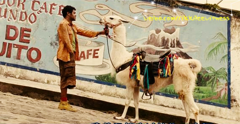 追踪长尾豹马修剧照的剧照