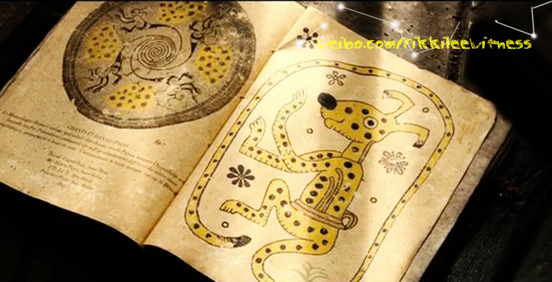 追踪长尾豹马修剧照的剧照