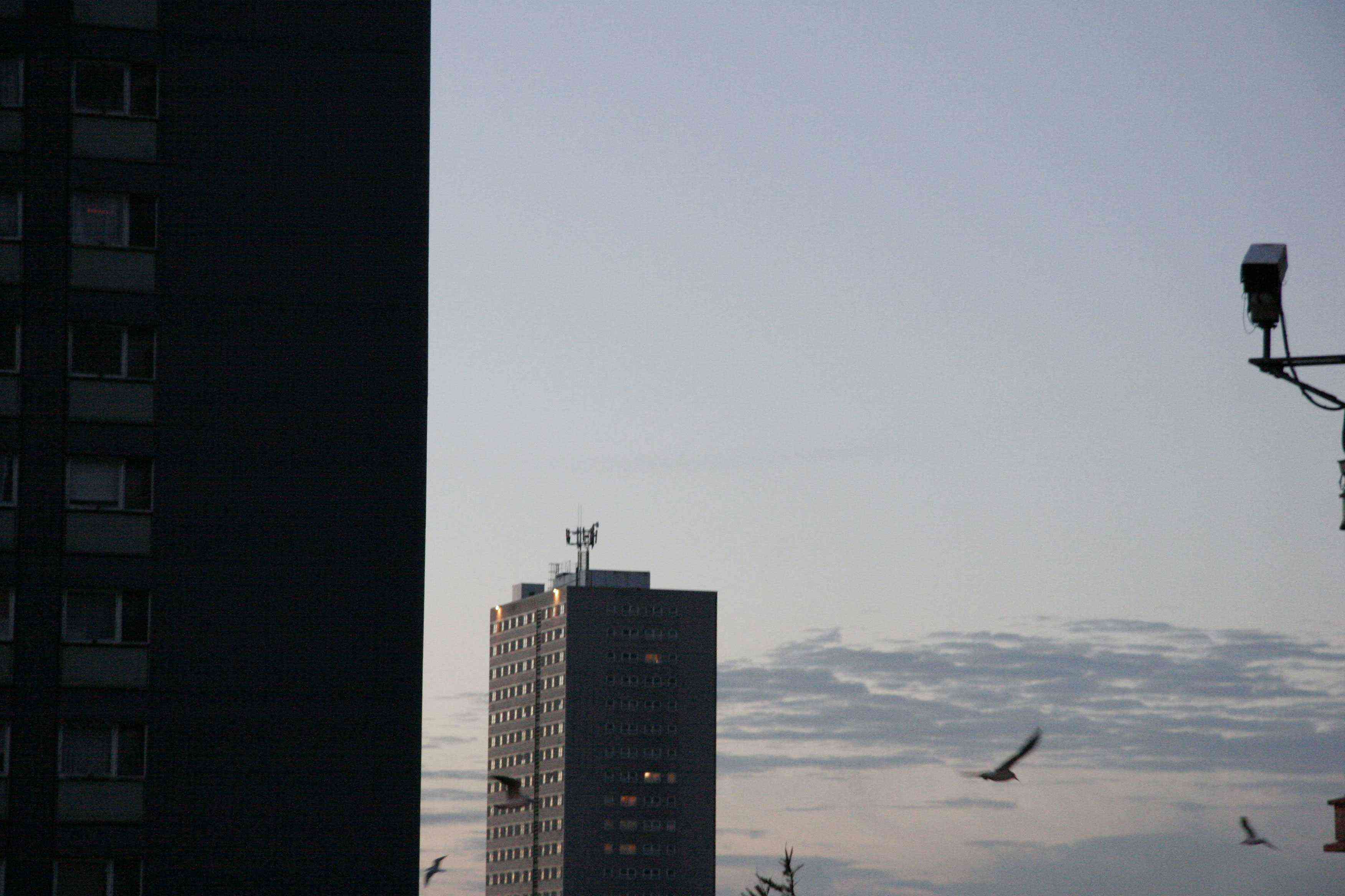 红色之路剧照的剧照