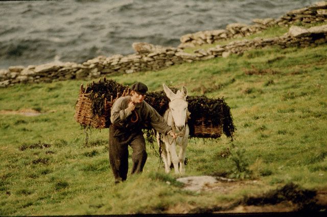 大地雄心剧照的剧照