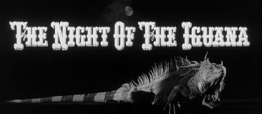 巫山风雨夜剧照的剧照