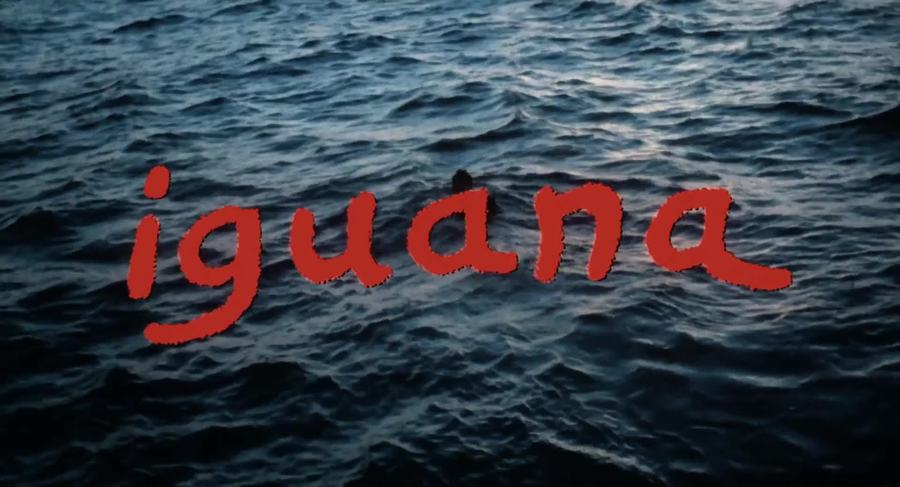 鬣蜥剧照的剧照