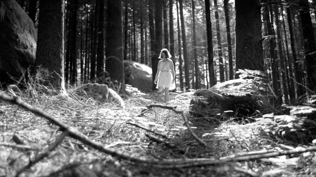 失魂的森林剧照的剧照