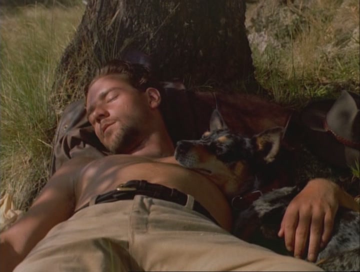 银驹剧照的剧照