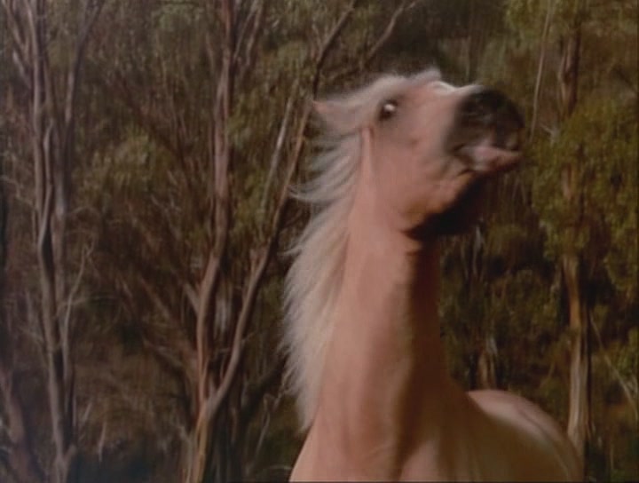 银驹剧照的剧照