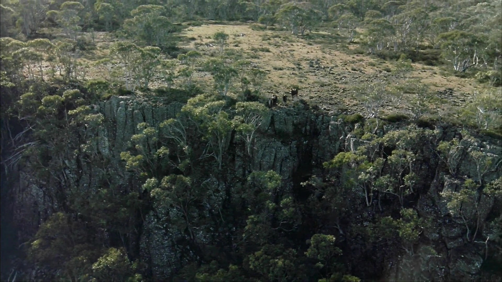 银驹剧照的剧照