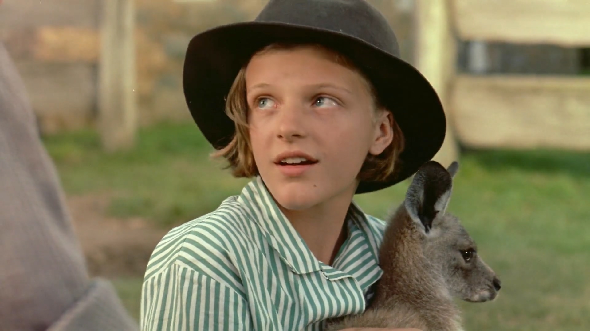 银驹剧照的剧照