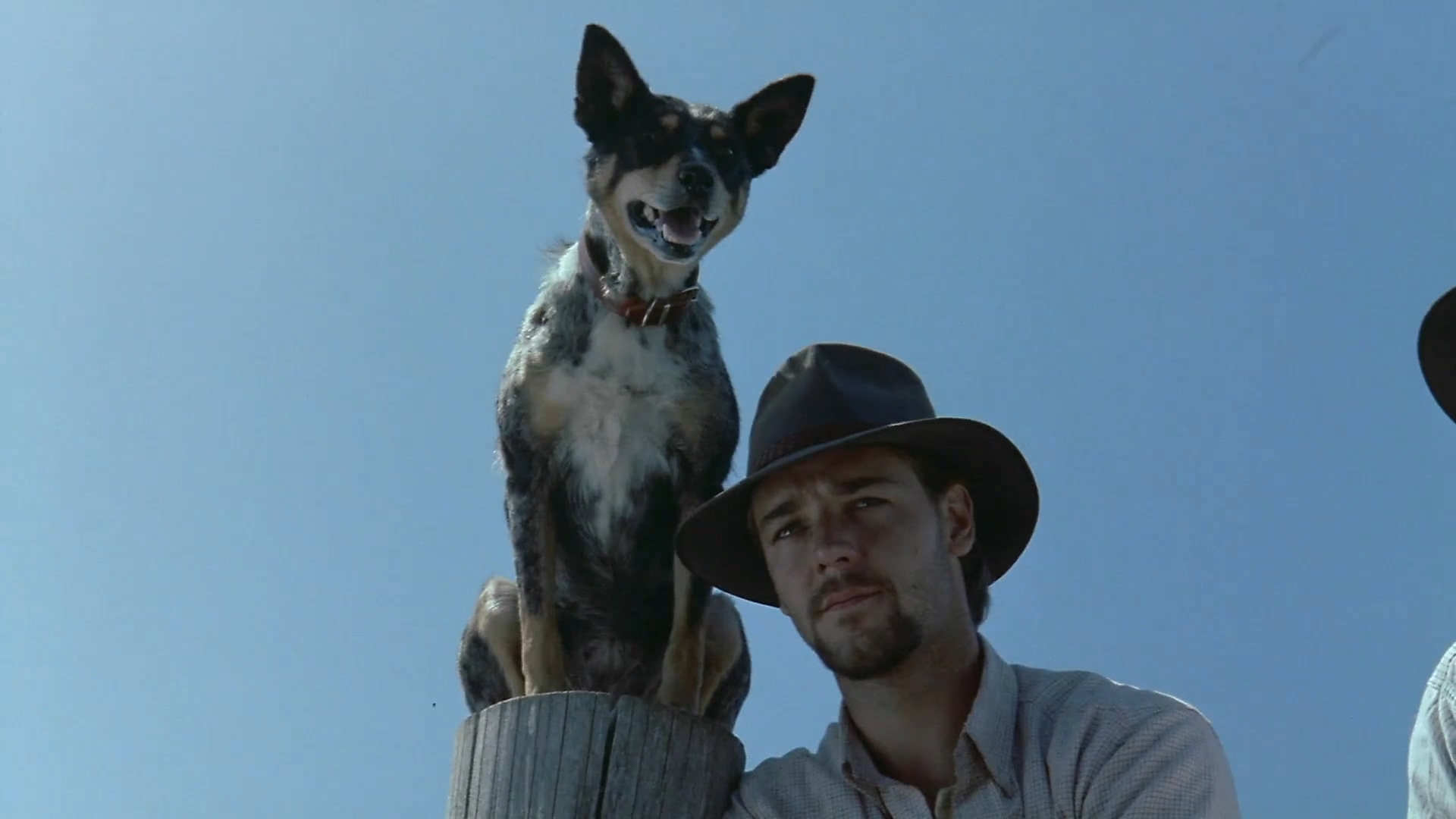 银驹剧照的剧照