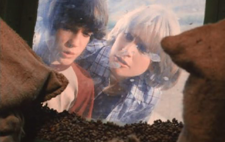 毒蜘蛛剧照的剧照